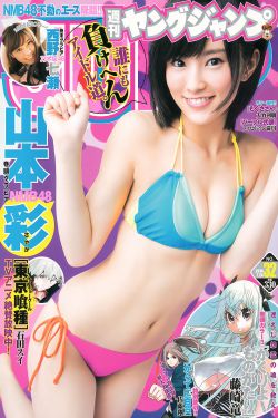 鲁班软件