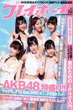 女特警电视剧免费观看完整版