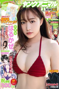 小草青青电视剧免费的